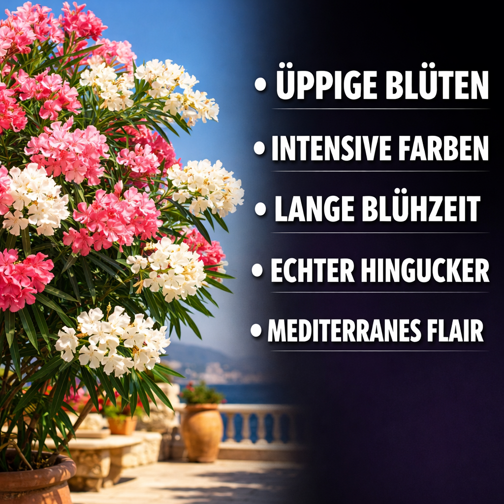 Oleander Dünger von Flora Boost – Hochwertigen Oleander Dünger kaufen