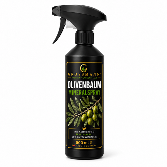 Olivenbaum Mineralspray 500 ml – Blattpflege für silbrig-grüne Blätter & kräftige Wuchsstruktur | Grossmann Pflanzenpflege