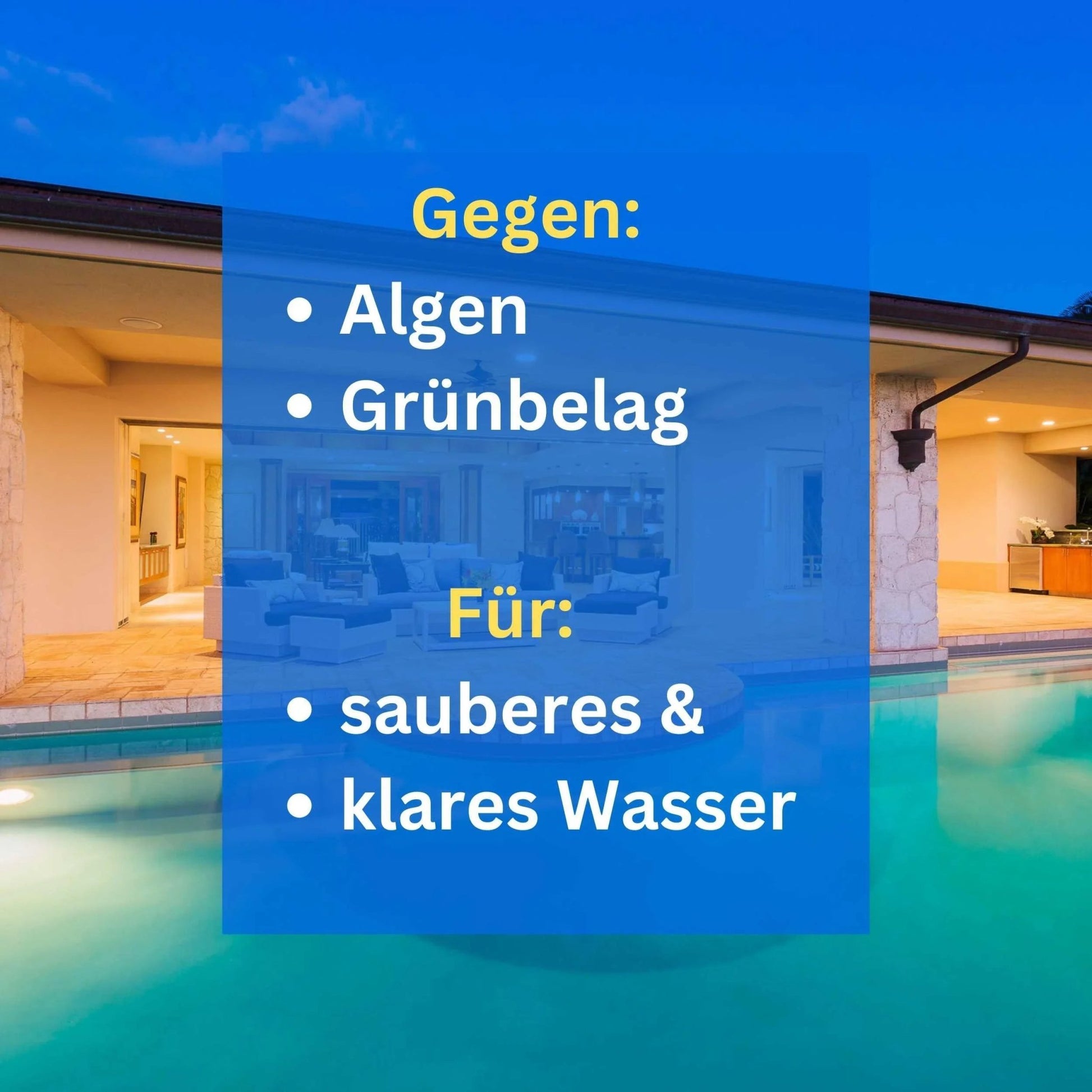 Pool Booster und Poolklar im Set Poolreiniger - Flora Boost