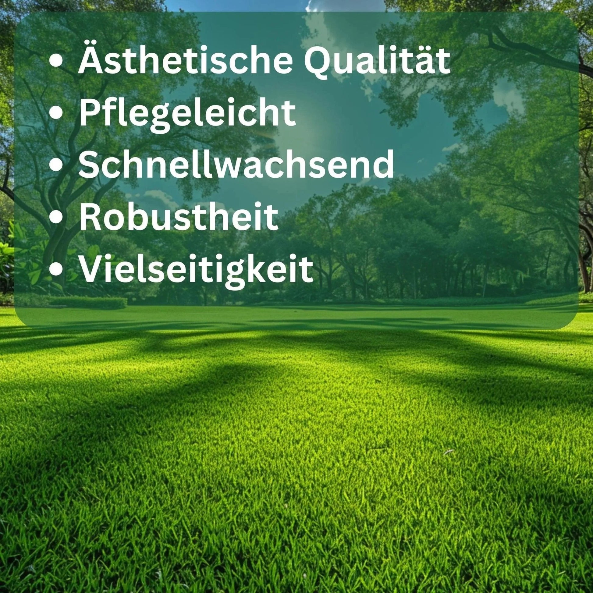 Rasensamen Grüne Oase von Flora Boost - Flora Boost