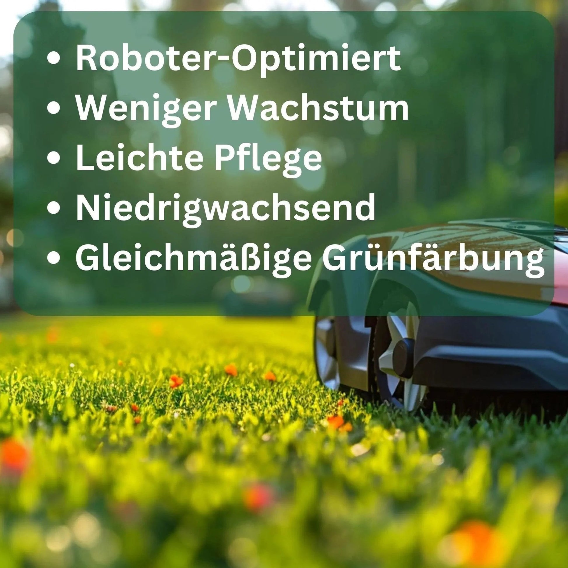 Rasensamen RoboGreen speziell für Mähroboter von Flora Boost - Flora Boost