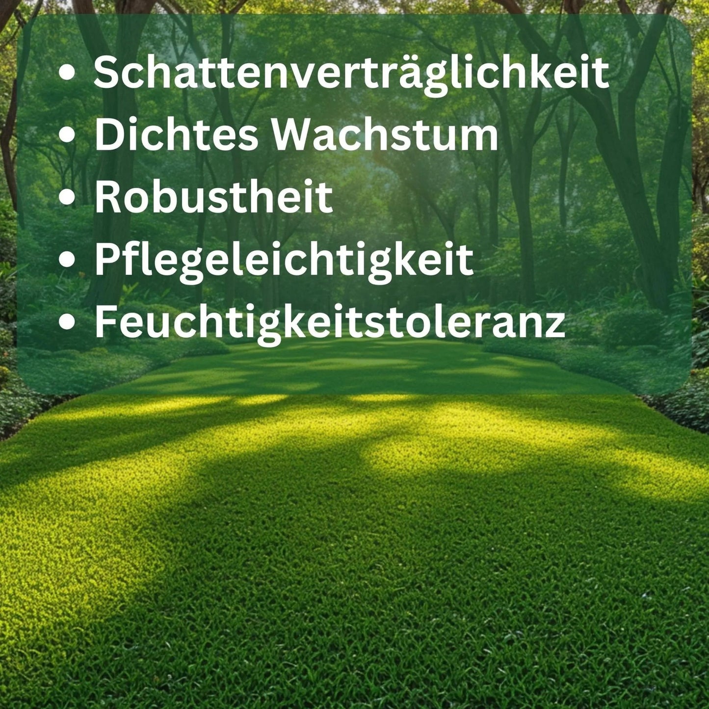 Rasensamen Schattenrasen von Flora Boost - Flora Boost