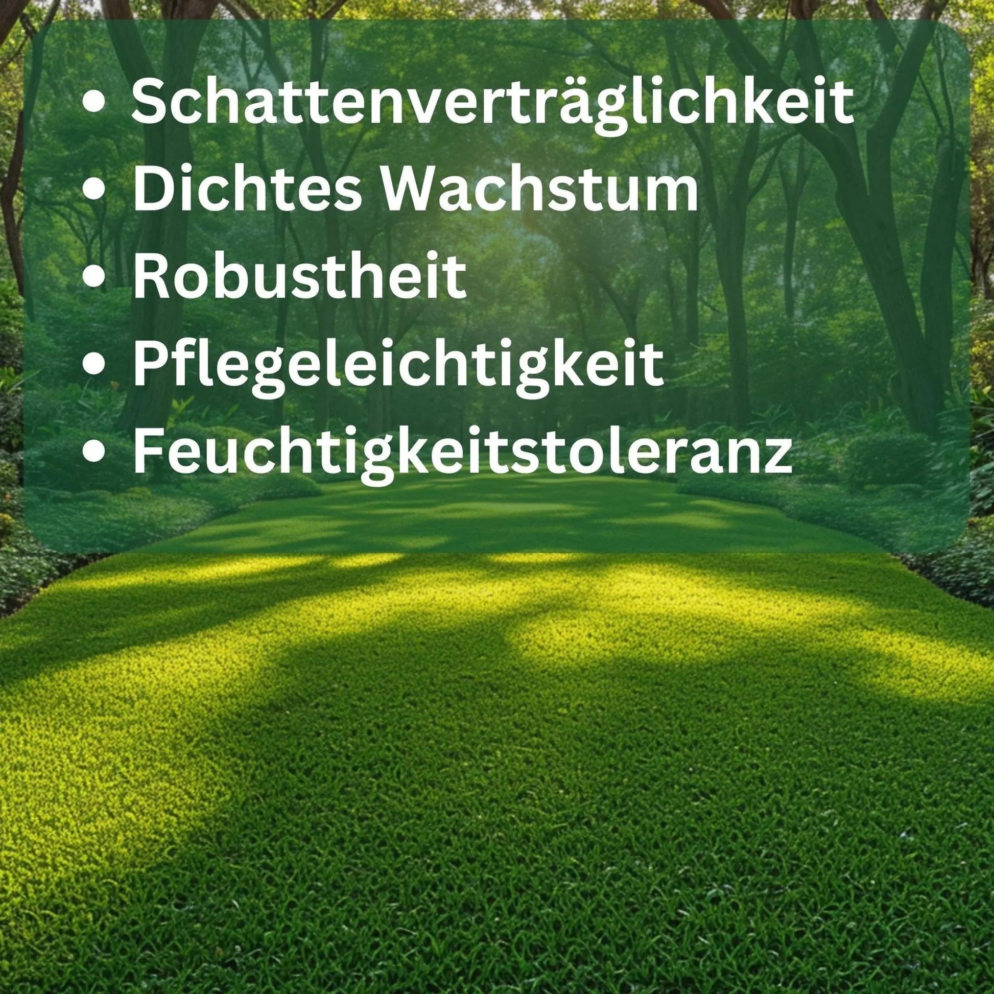 Rasensamen Schattenrasen von Flora Boost - Flora Boost