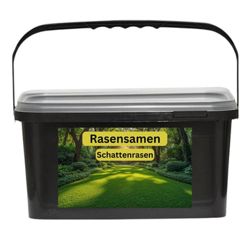 Rasensamen Schattenrasen von Flora Boost
