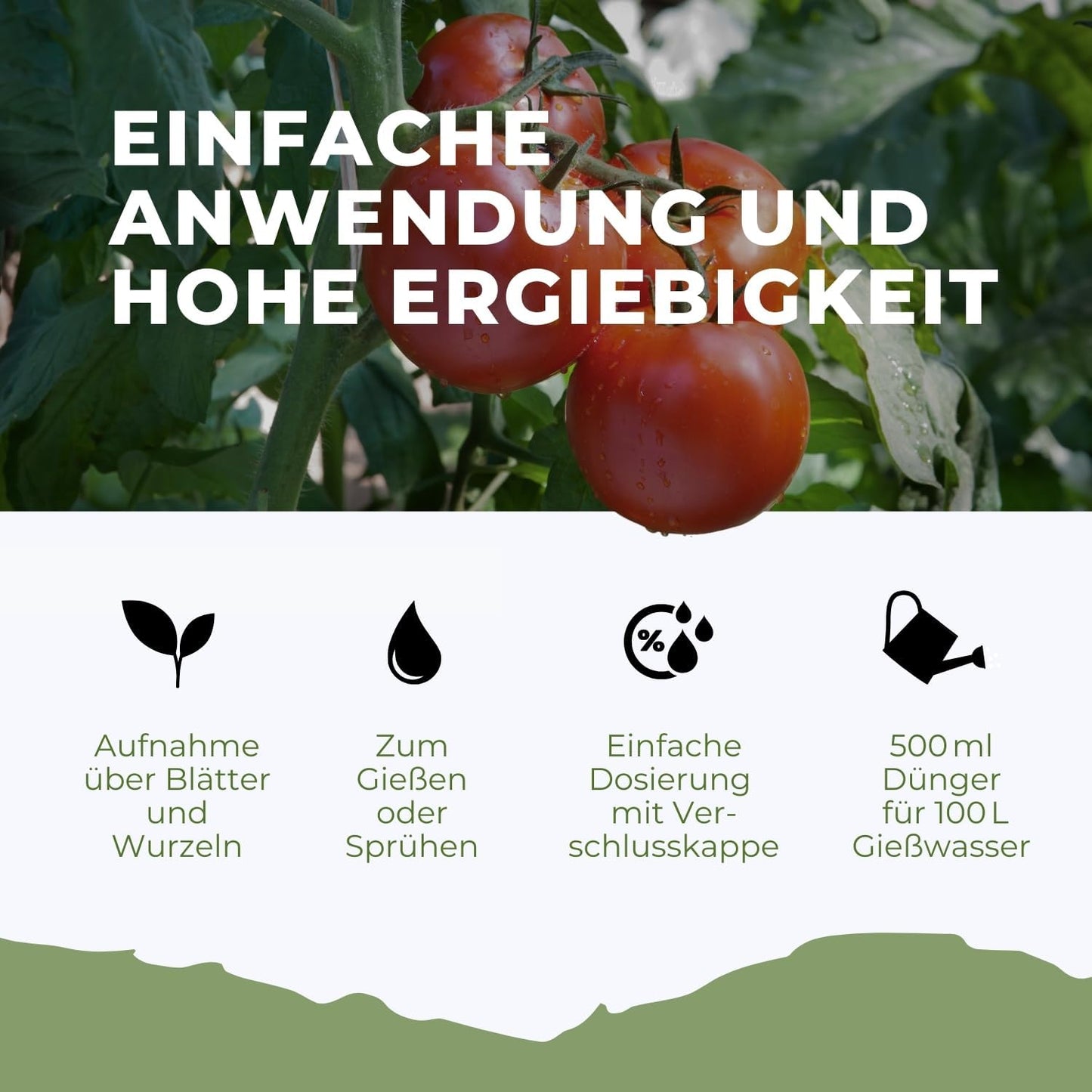 Tomaten Pflanzen Dünger für mehr Ertrag und gegen Krankheiten Flüssigdünger - Flora Boost