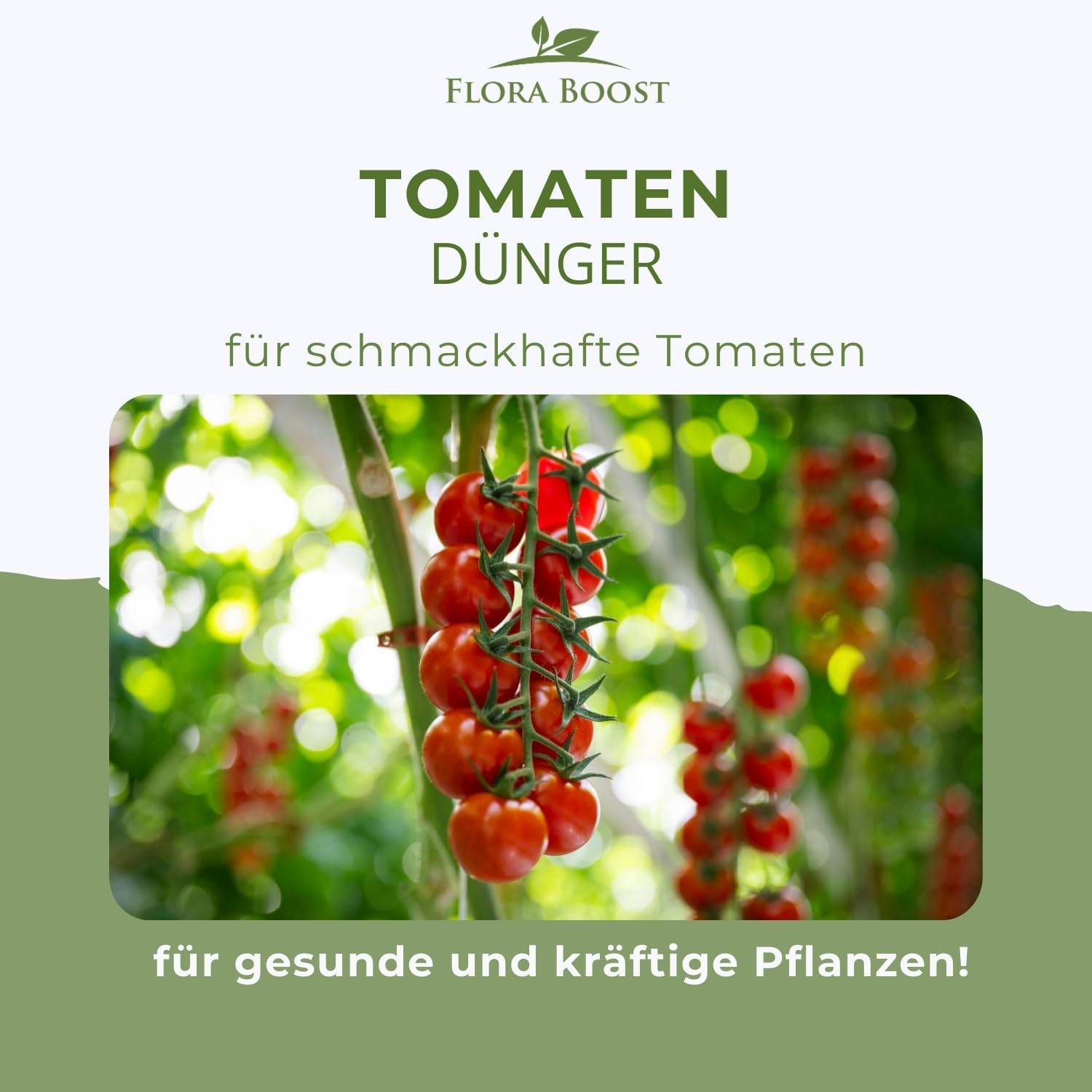 Tomaten Pflanzen Dünger für mehr Ertrag und gegen Krankheiten Flüssigdünger - Flora Boost