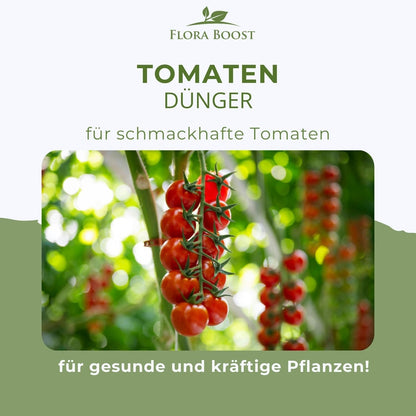 Tomaten Pflanzen Dünger für mehr Ertrag und gegen Krankheiten Flüssigdünger - Flora Boost
