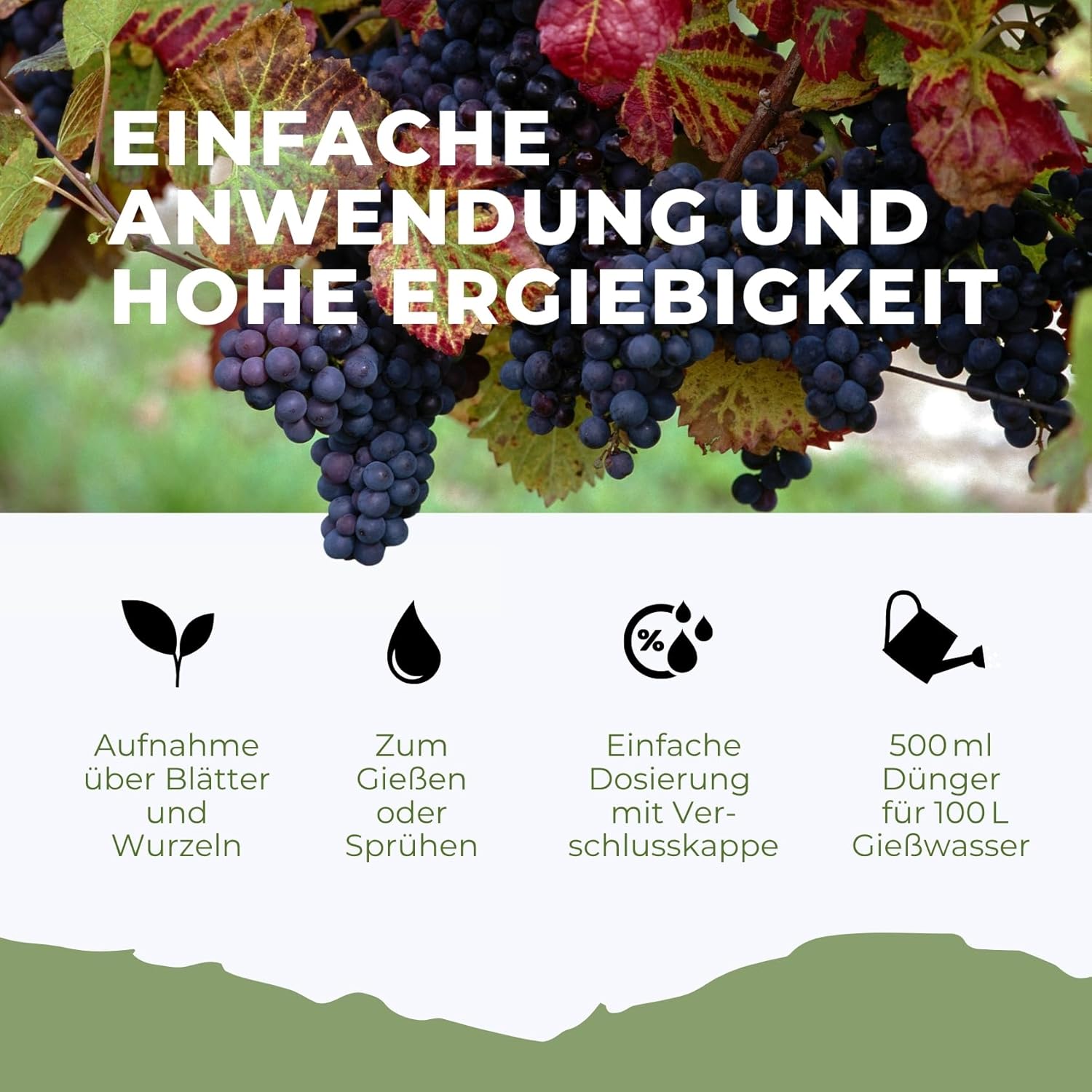 Weinreben Dünger von Flora Boost – Für gesundes Wachstum und kräftige  Trauben
