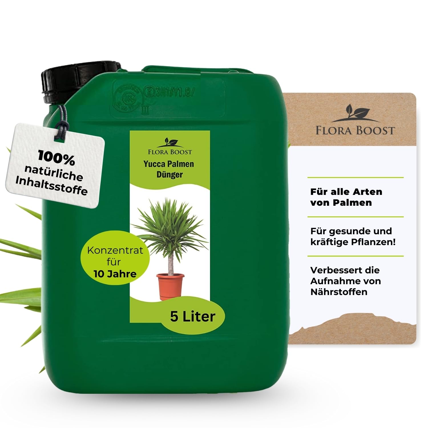 Yucca Palmen Dünger von Flora Boost für gesundes Wachstum und pralle Blätter