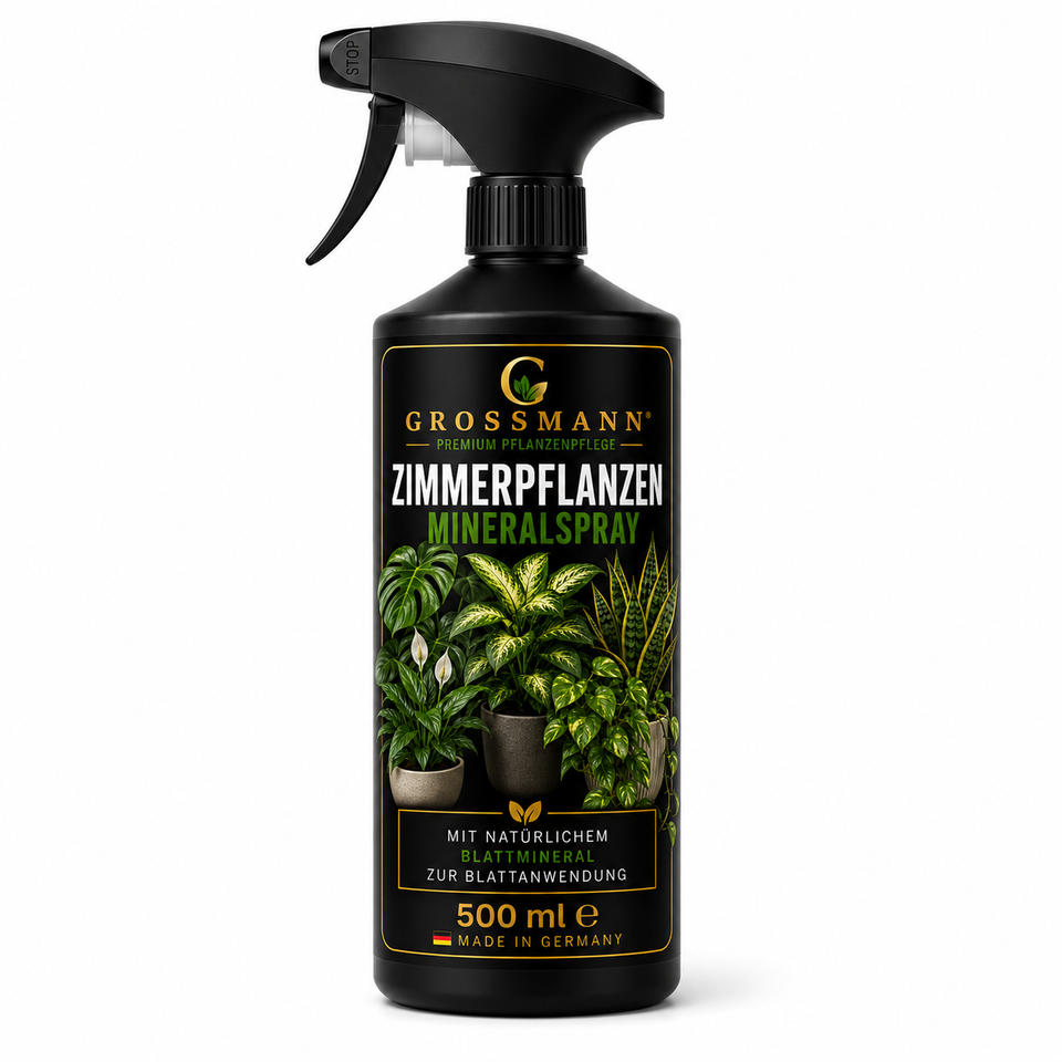 Zimmerpflanzen Mineralspray