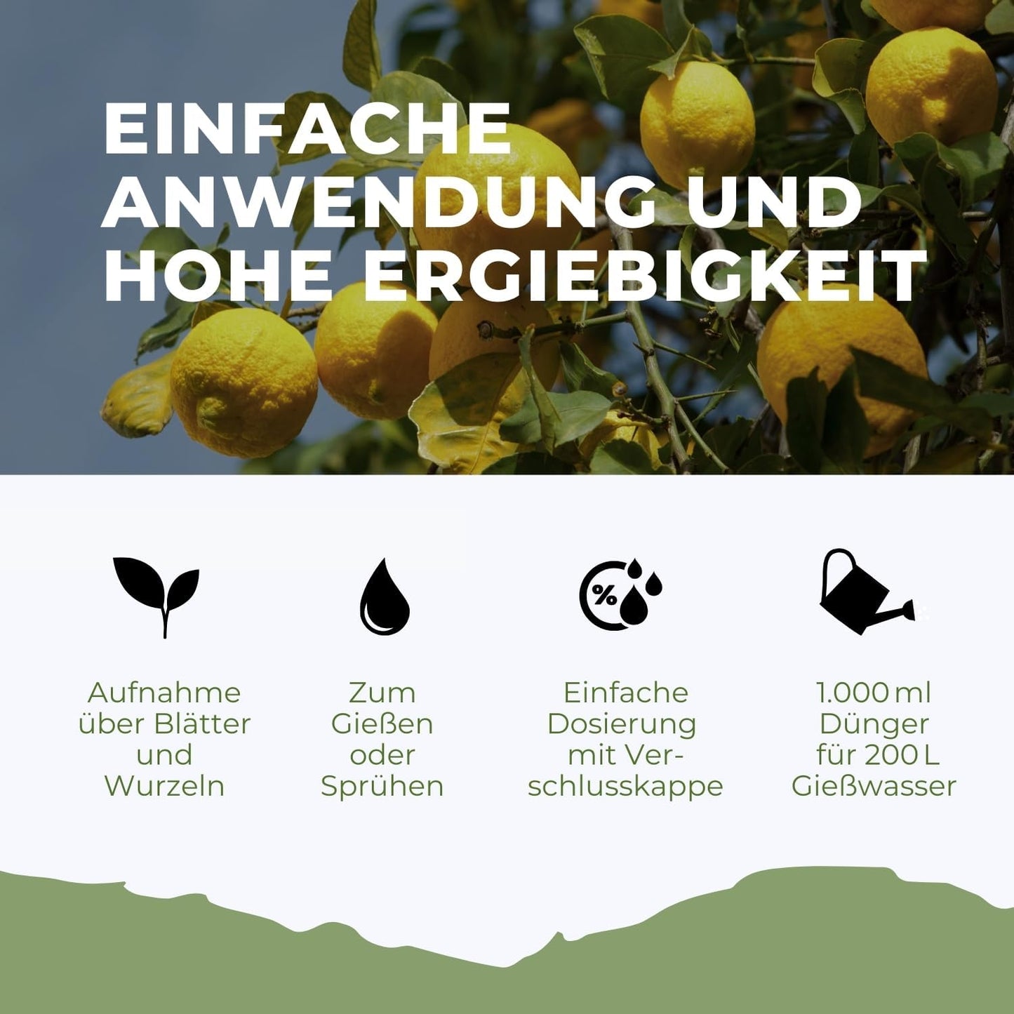Zitrusdünger von Flora Boost – natürlich & effektiv