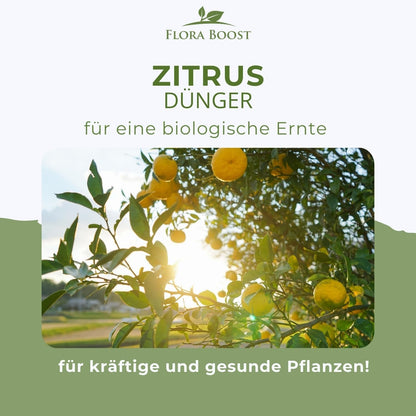 Zitrusdünger von Flora Boost – natürlich & effektiv Flüssigdünger - Flora Boost