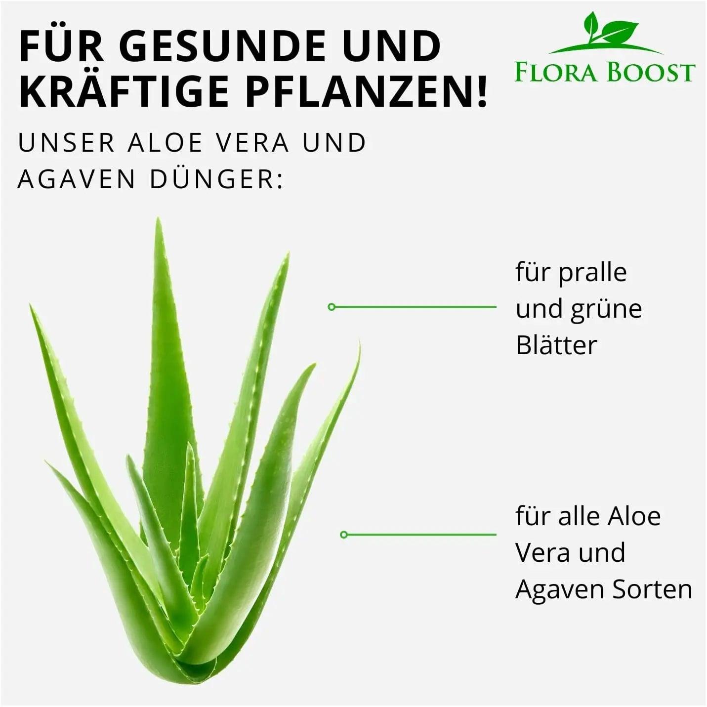 Aloe Vera Dünger von Flora Boost - Flora Boost