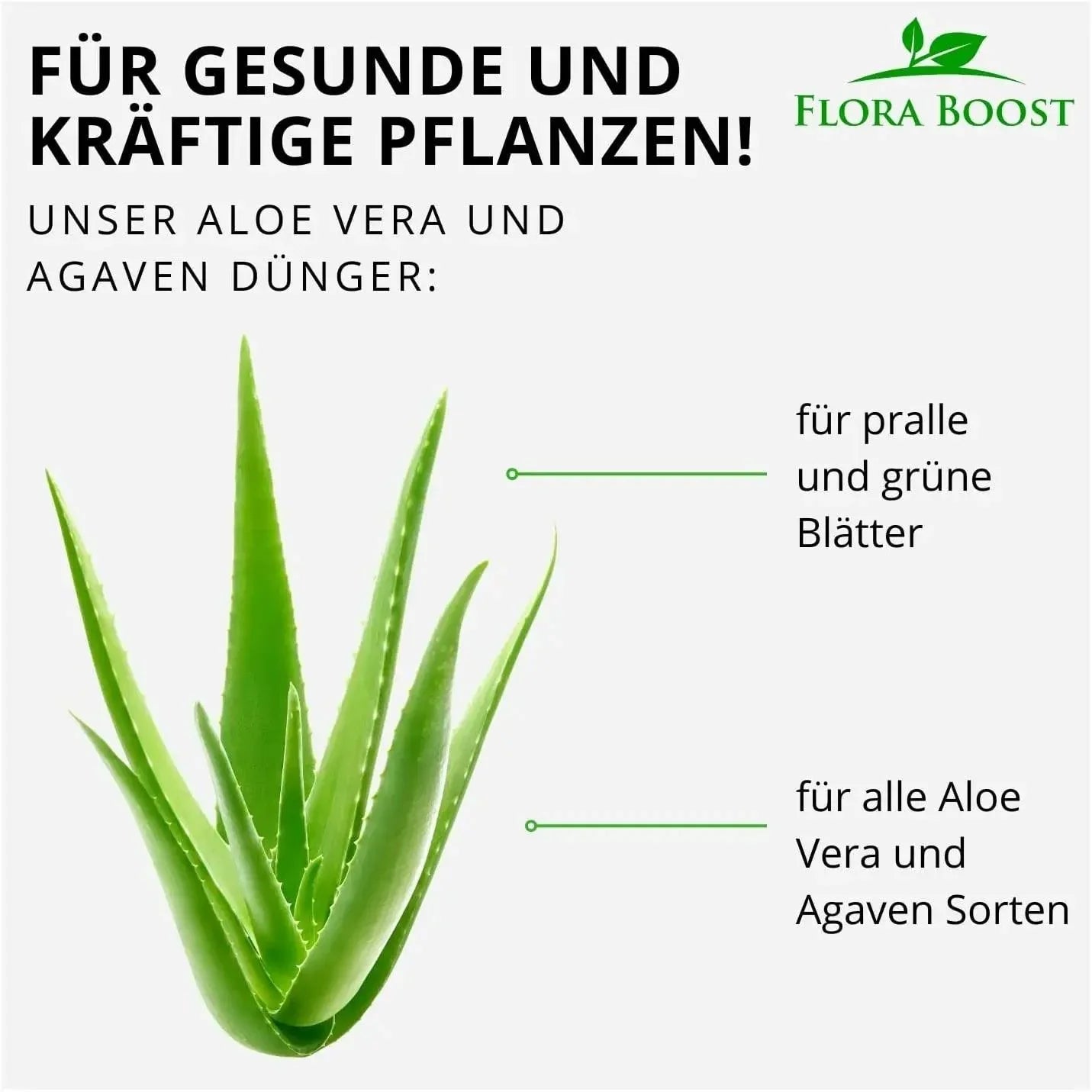 Aloe Vera Dnger von Flora Boost fr gesunde Pflanzen und reichhaltige Ernte