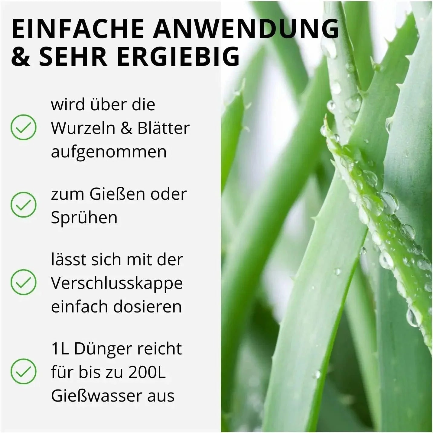 aloe vera saft als dünger Aloe Vera Dünger von Flora Boost für gesunde Pflanzen und reichhaltige Ernte