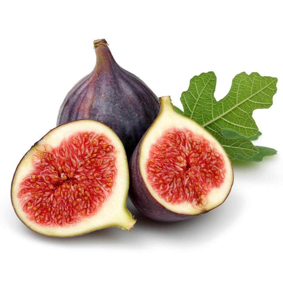 Feigen Strauch Brown Turkey - Flora Boost