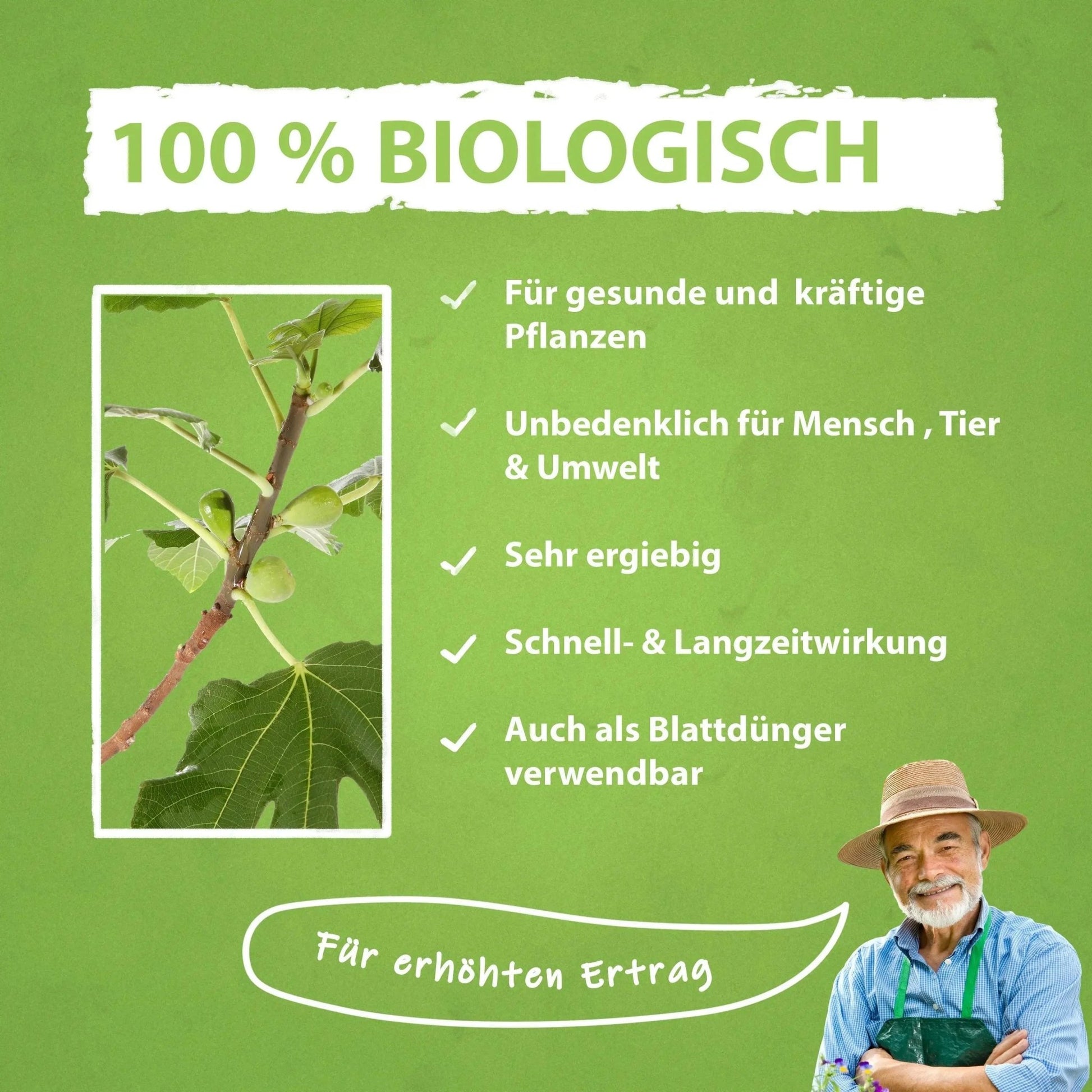 Feigenbaum Dünger von Flora Boost Flüssigdünger - Flora Boost