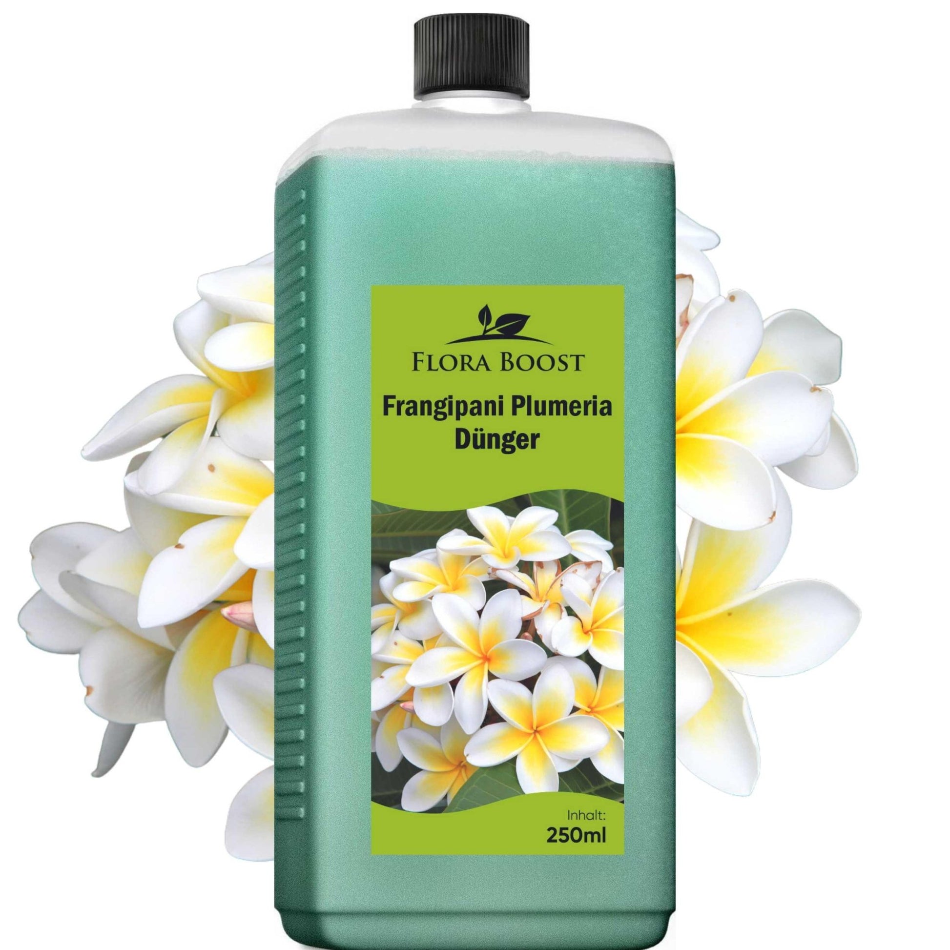 Frangipani Tempelbaum Plumeria Dünger von Flora Boost Flüssigdünger - Flora Boost