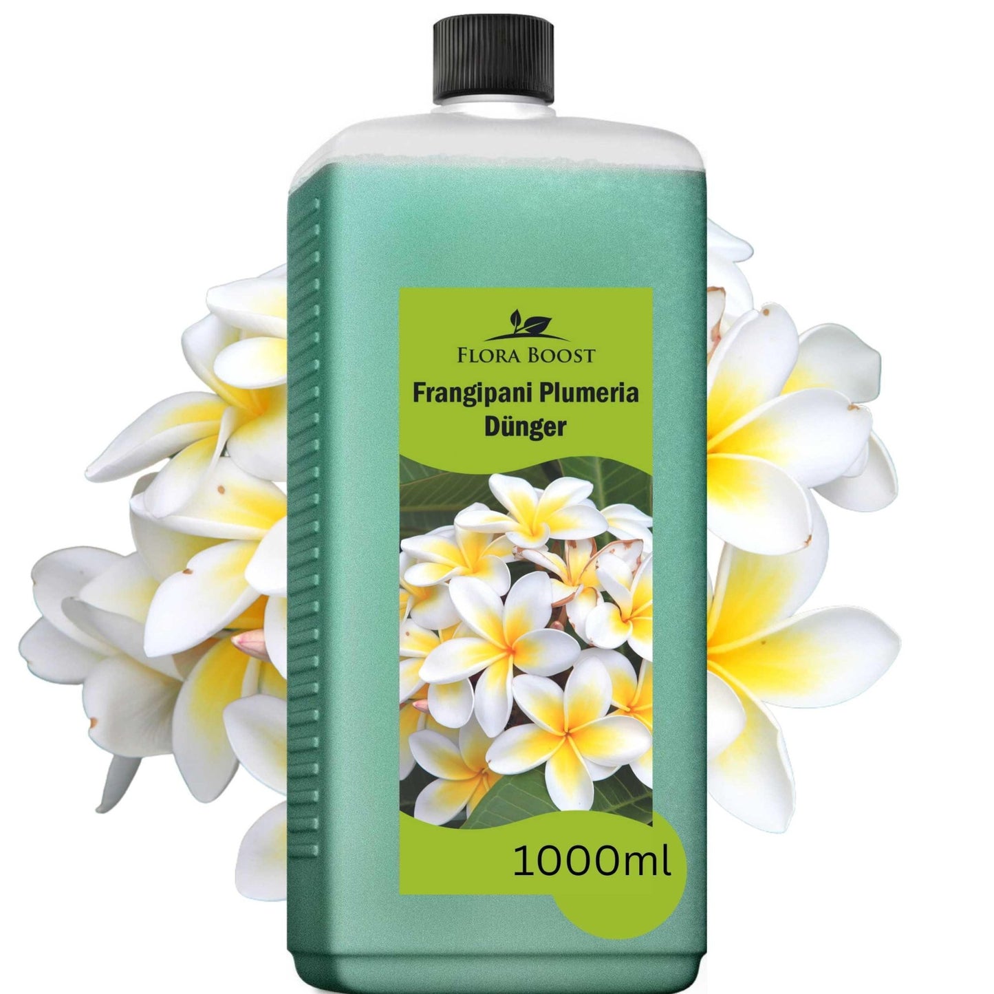 Frangipani Tempelbaum Plumeria Dünger von Flora Boost Flüssigdünger - Flora Boost