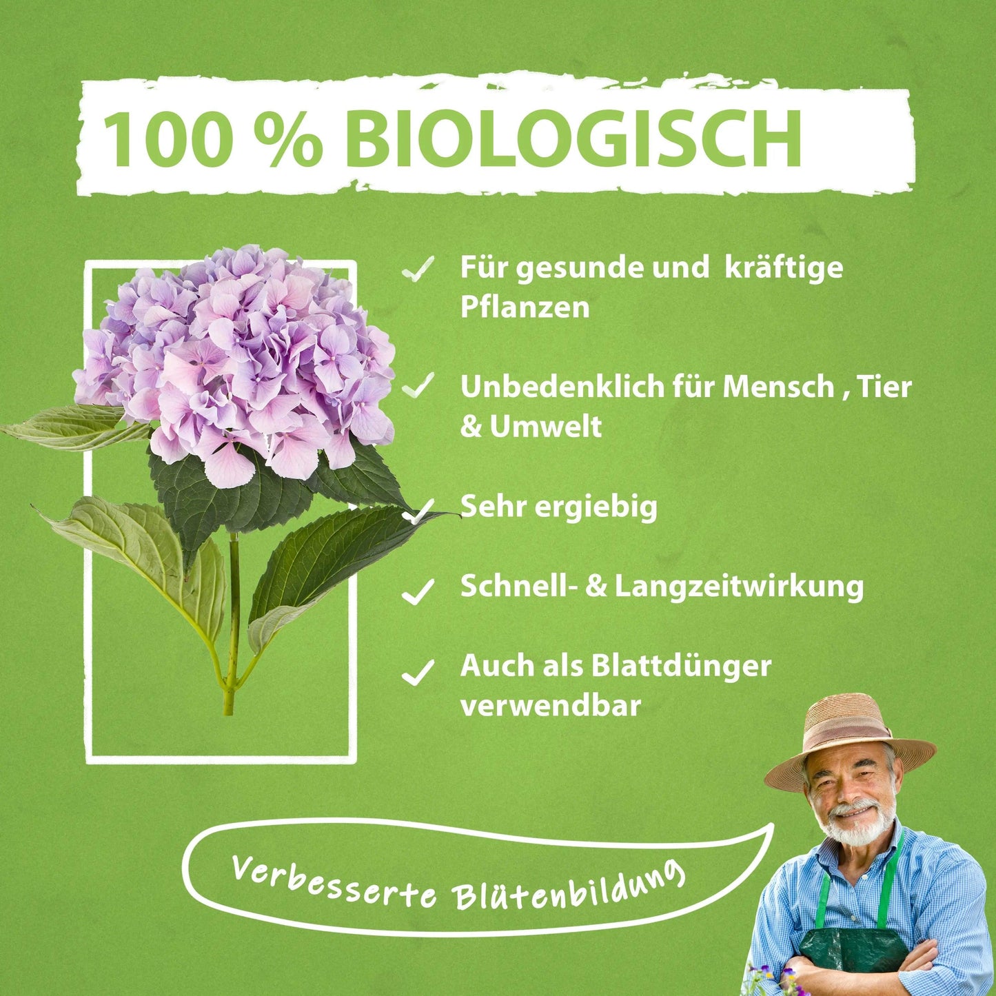 Hortensien Dünger von Flora Boost - Flora Boost