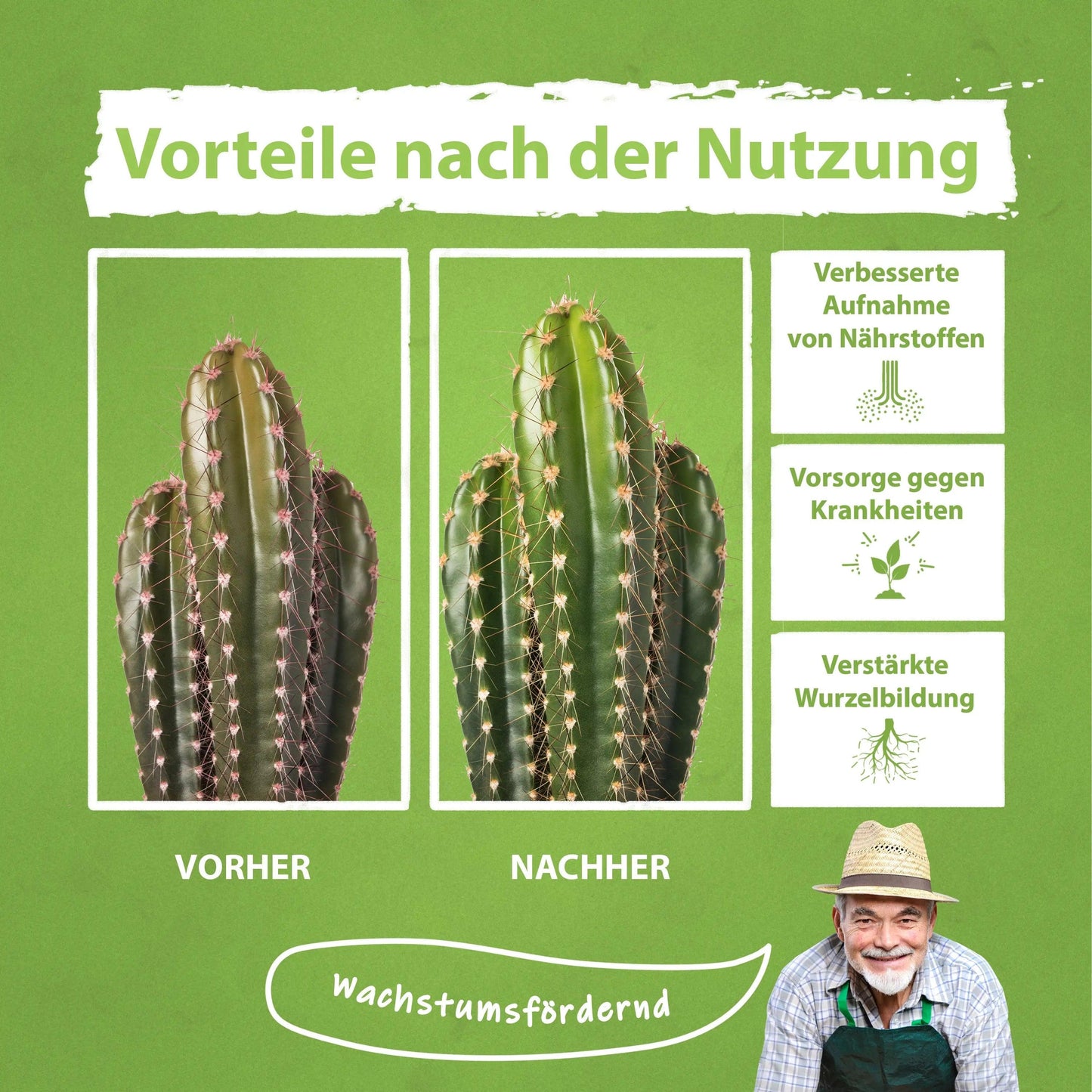 Kakteen Dünger von Flora Boost - Flora Boost