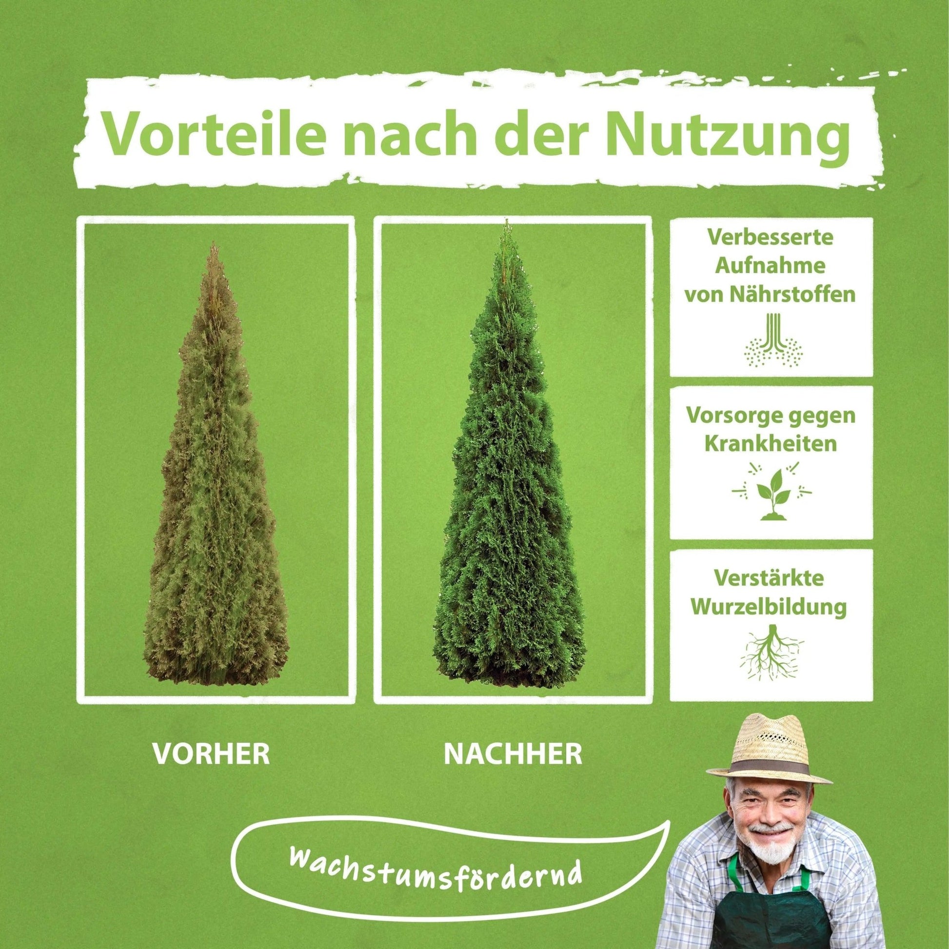 Koniferen Dünger von Flora Boost Flüssigdünger - Flora Boost