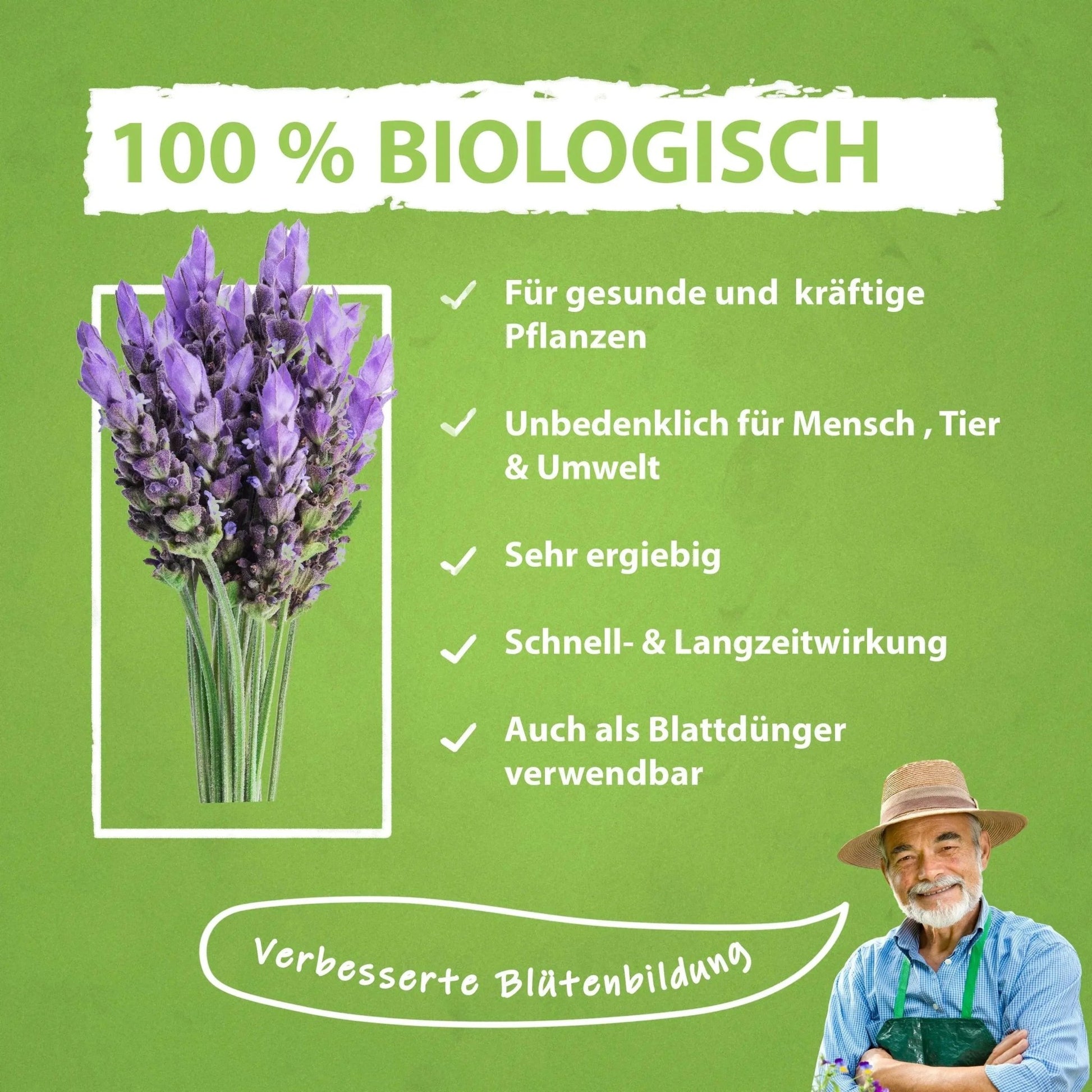 Lavendel Dünger von Flora Boost für gesunde Pflanzen und blühenden Garten