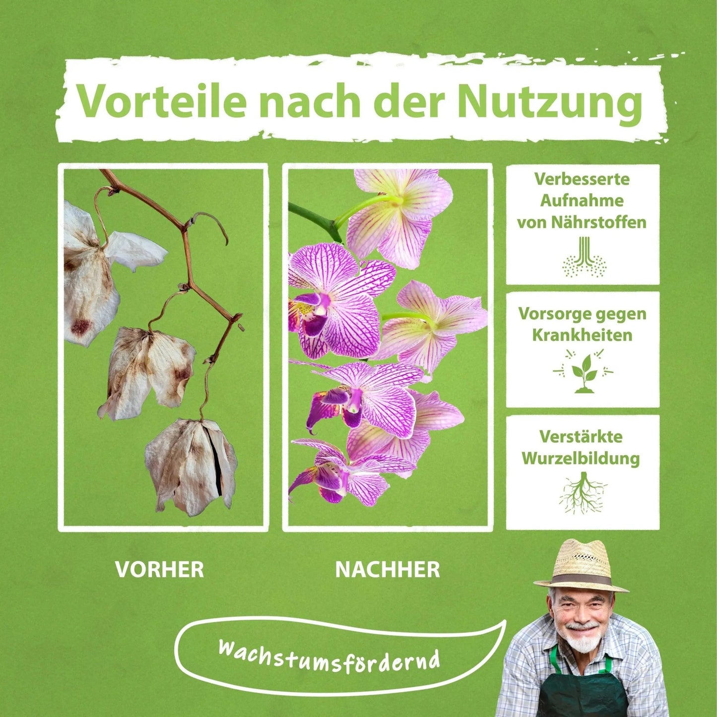 Orchideen Dünger von Flora Boost Flüssigdünger - Flora Boost