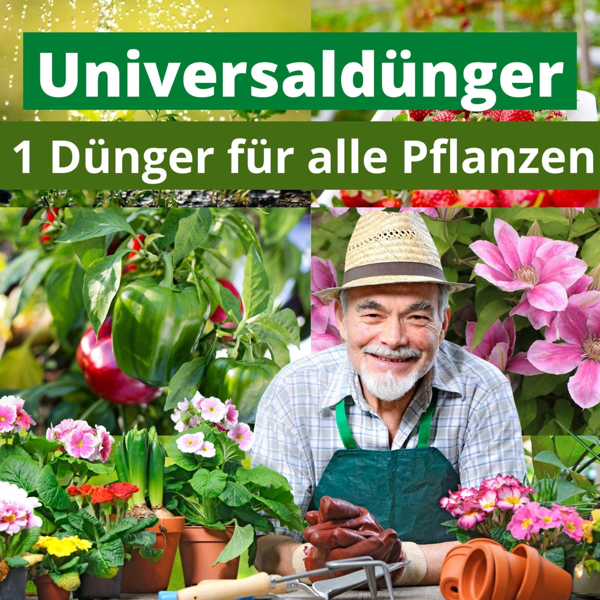 Rinderdung Pellets – natürlicher Langzeitdünger für Gartenpflanzen – Flora  Boost