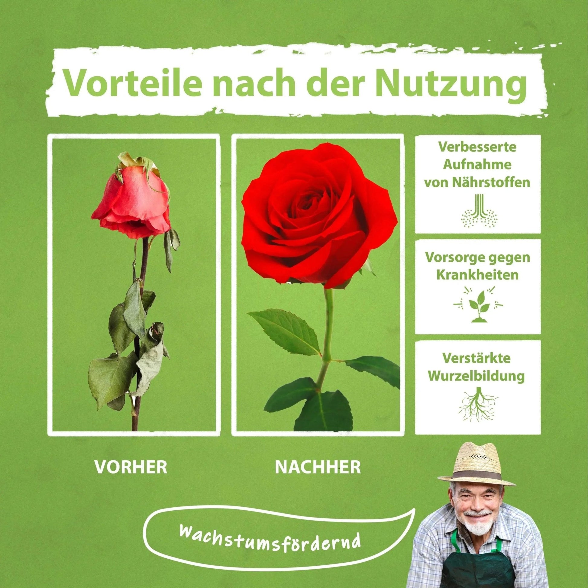 Rosen Dünger von Flora Boost Flüssigdünger - Flora Boost