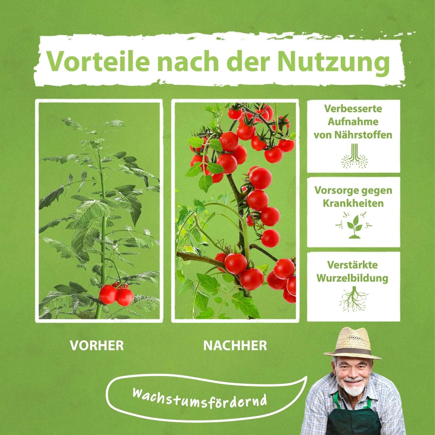 Tomaten Pflanzen Dünger für mehr Ertrag und gegen Krankheiten Flüssigdünger - Flora Boost