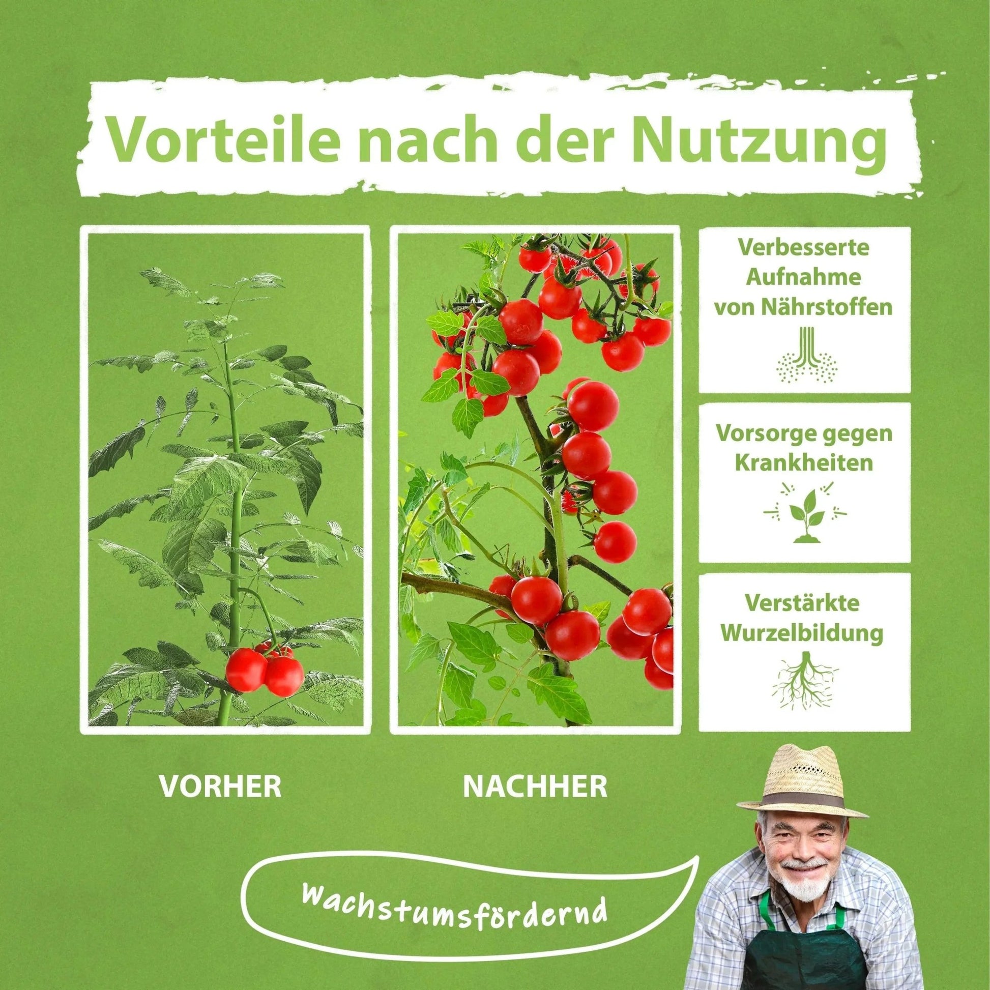 Tomaten Pflanzen Dünger für mehr Ertrag und gegen Krankheiten Flüssigdünger - Flora Boost