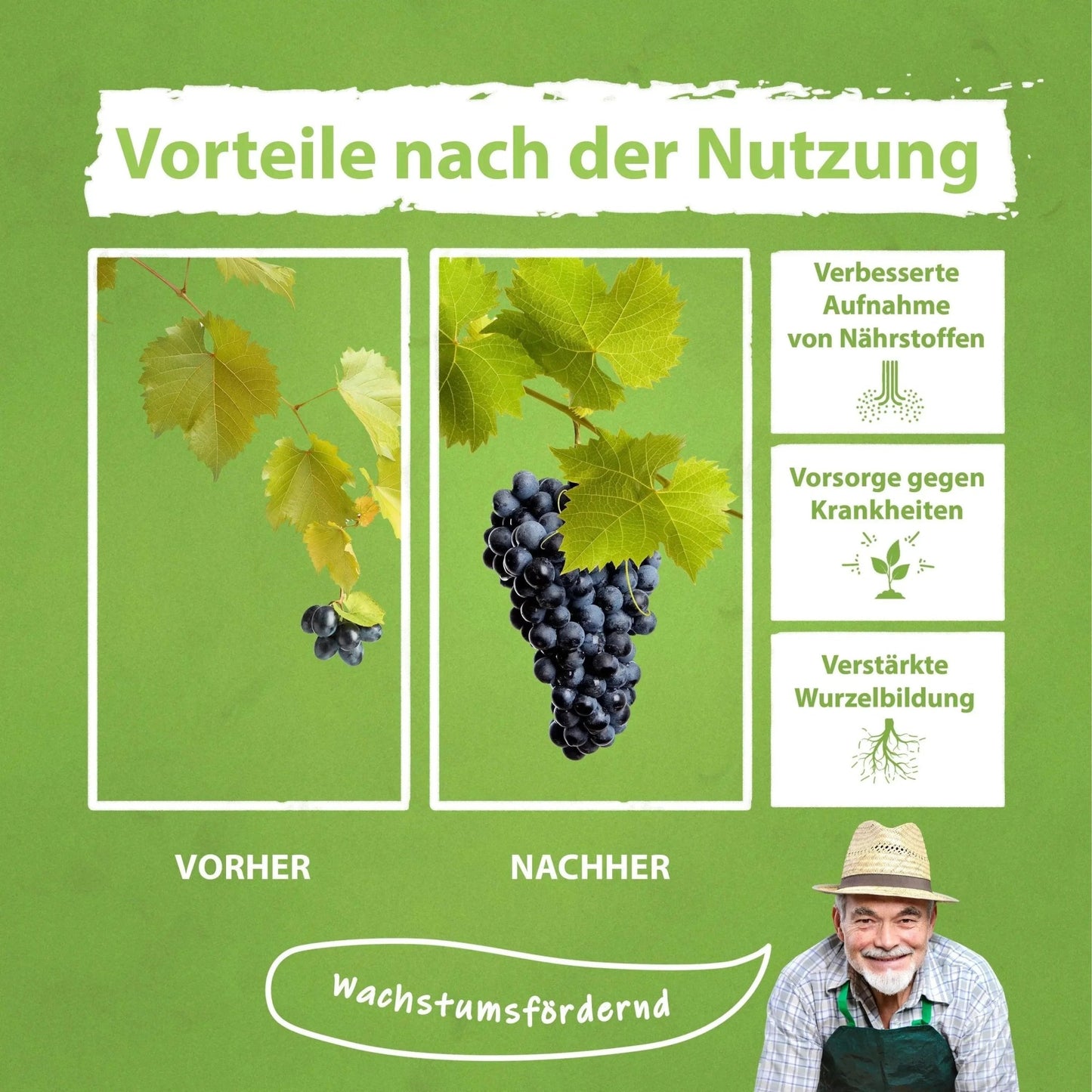 Weinreben Dünger von Flora Boost – gesundes Wachstum Flüssigdünger - Flora Boost