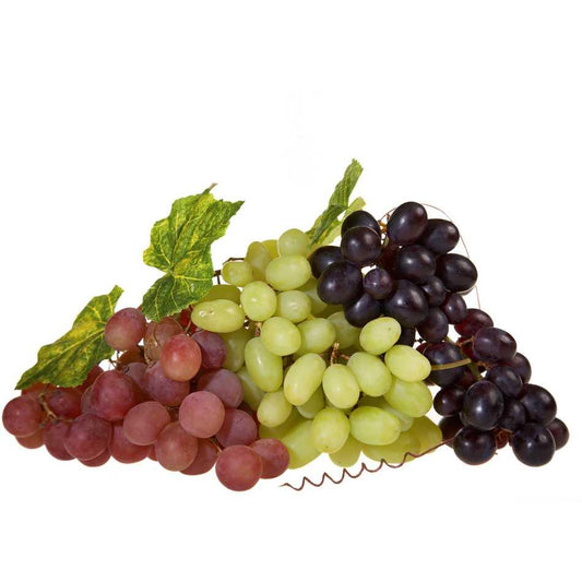 Weintrauben Weinreben Pflanzen
